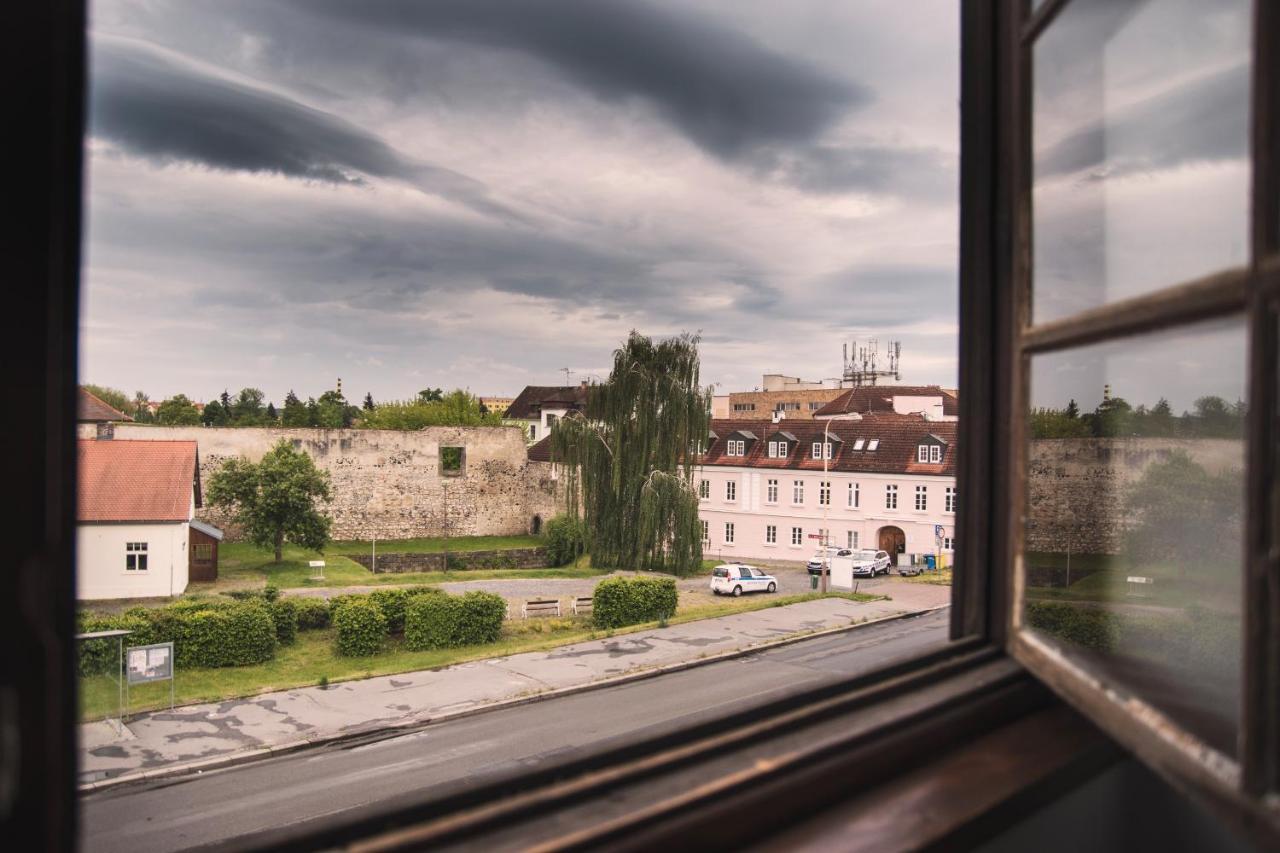 Guesthouse Zlaty Hrozen Česká Lípa Exterior foto